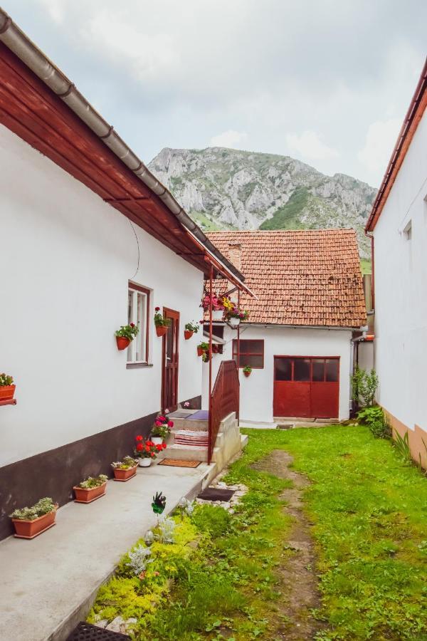 Casa De Vacanta Harsfa Vendeghaz Rimetea Exterior foto