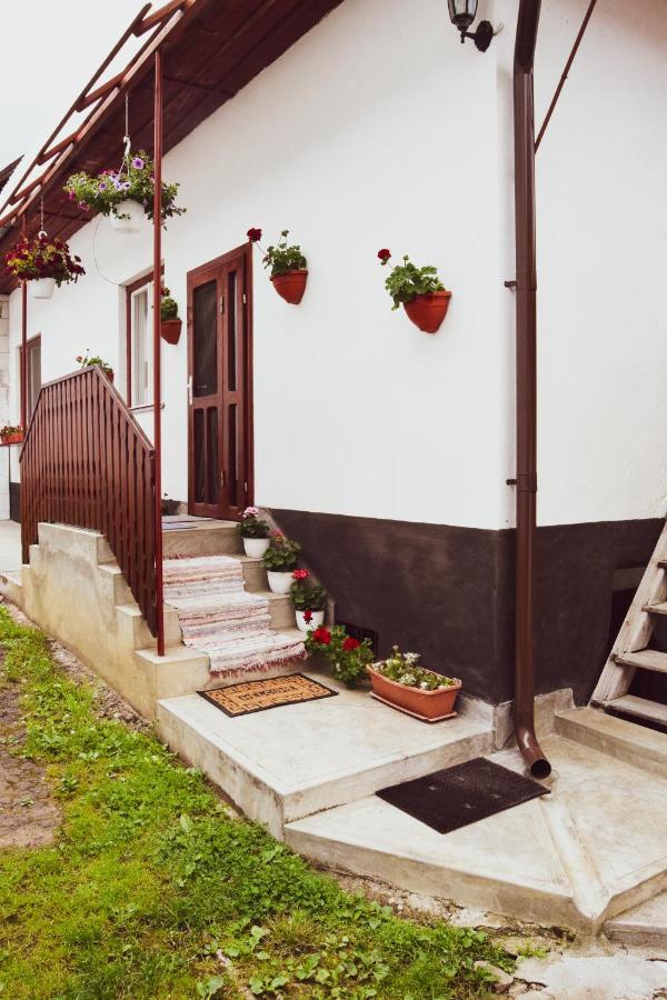Casa De Vacanta Harsfa Vendeghaz Rimetea Exterior foto